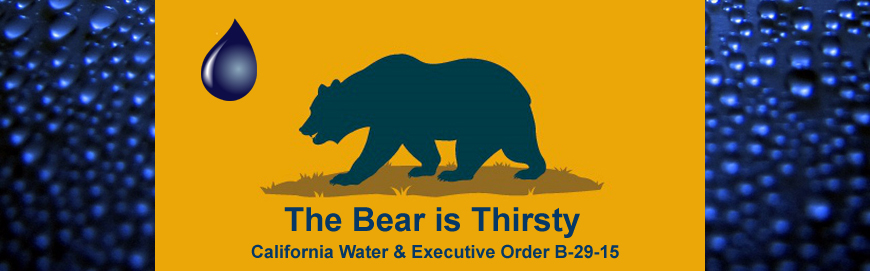 thirsty-bear